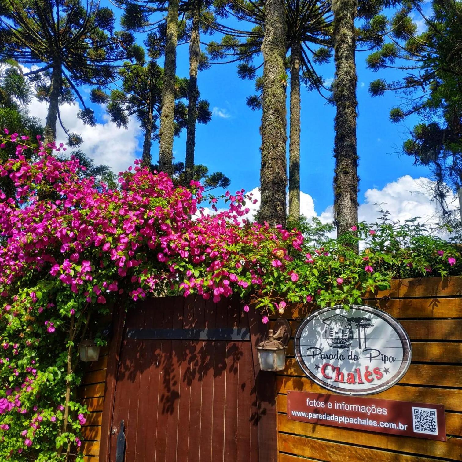 Chalé Temático em Pipa de Vinho - Parada da Pipa Chalés Canela Exterior foto